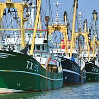 Trawler vissersboten in de haven van Oudeschild, Texel, Nederland
